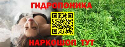 дмт Будённовск