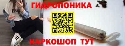 дмт Будённовск