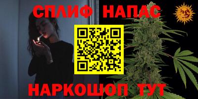 дмт Будённовск